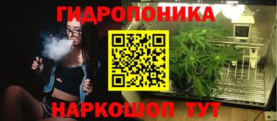 гашиш Новозыбков